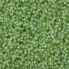 MIYUKI Round Rocailles Beads SEED-G007-RR0676-3
