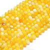 Natural Banded Agate Beads Strands G-P573-A13-01-2