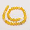 Natural Fire Crackle Agate Bead Strands G-G882-10mm-B05-5-2