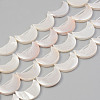 Electroplate Natural Freshwater Shell Beads Strands SHEL-T017-15A-1