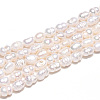 Natural Cultured Freshwater Pearl Beads Strands PEAR-N012-02N-01-5