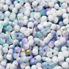 Baking Paint Glass Seed Beads SEED-F005-01A-09-3