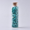Glass Wishing Bottle DJEW-L013-A18-1
