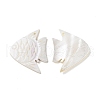 Natural Freshwater Shell Pendant SHEL-H001-02-1