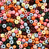 Baking Paint Glass Seed Beads SEED-N007-02E-3