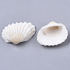 Natural Shell Beads SSHEL-S258-73-3