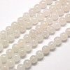 Natural Malaysia Jade Bead Strands G-M101-6mm-09-1