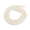 Shell Pearl Beads Strands BSHE-XCP0001-74A-3