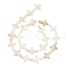 Natural Freshwater Shell Beads Strands BSHE-G036-05B-2