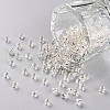 8/0 Glass Seed Beads X2-SEED-A005-3mm-21-1