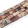 Natural Aqua Terra Jasper Beads Strands G-T140-43B-4