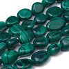 Natural Malachite Beads Strands G-L493-42A-1