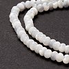 Natural Trochid Shell/Trochus Shell Beads Strands SSHEL-O001-24B-02-3