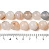 Natural Dendritic Agate Beads Strands G-A248-A07-05-5