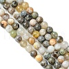 Natural Bamboo Leaf Agate Round Bead Strands G-M248-6mm-04-2
