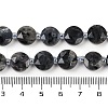 Natural Larvikite Beads Strands G-C116-A45-01-5