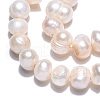 Natural Cultured Freshwater Pearl Beads Strands PEAR-N013-06H-3