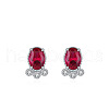 S925 Sterling Silver Cubic Zirconia Stud Earrings FS-WG85E0B-01-1