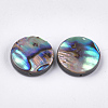 Abalone Shell/Paua Shell Beads SSHEL-T008-06B-2