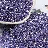 Glass Seed Beads X1-SEED-S042-04A-08-1