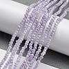 Opaque Baking Painted Glass Beads Strands DGLA-F002-03E-2