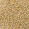 8/0 Glass Seed Beads SEED-A017-3mm-1107-2