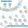 Natural Frosted Flower Amazonite Round Beads G-NB0005-34D-2