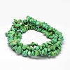 Chip Dyed & Heated Natural Magnesite Bead Strands G-L454-05-2