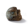 Natural Ocean Jasper Display Decoration G-C022-01E-4