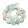 Natural Flower Amazonite Beads Strands G-F769-F01-02-3