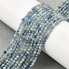 Natural Kyanite/Cyanite/DistheneBeads Strands G-G259-D04-2mm-1