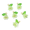 Acrylic Pendants OACR-D012-01E-2