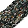Natural Indian Agate Beads Strands G-Q060-D08-01-2
