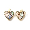 Natural Paua Shell & Epoxy Resin Charms KK-E794-02G-05-1