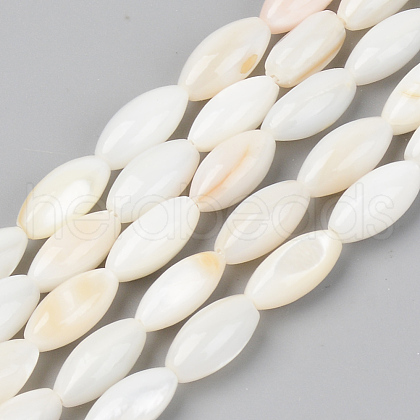 Natural Freshwater Shell Beads Strands SSHEL-R048-008-1