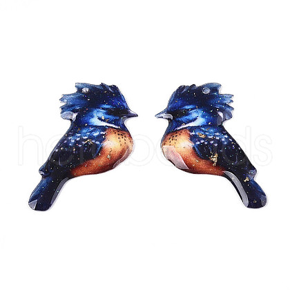 Epoxy Resin Pendants RESI-N045-01C-1