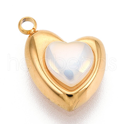 304 Stainless Steel Charms STAS-N110-23G-1