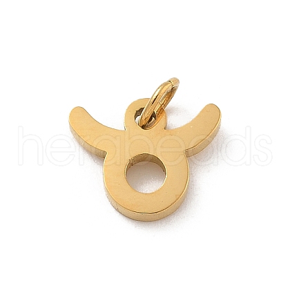 304 Stainless Steel Charms STAS-R001-04G-02-1