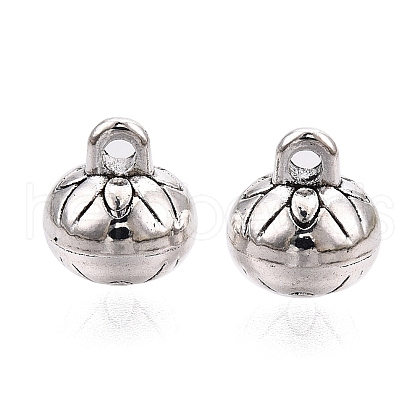 Tibetan Style Alloy Charms FIND-C060-065AS-1