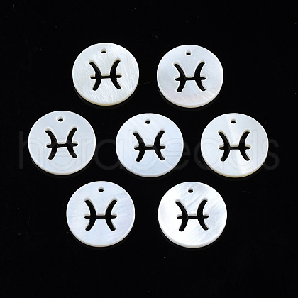 Natural Freshwater Shell Charms SHEL-N027-10I-1