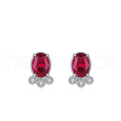 S925 Sterling Silver Cubic Zirconia Stud Earrings FS-WG85E0B-01-1