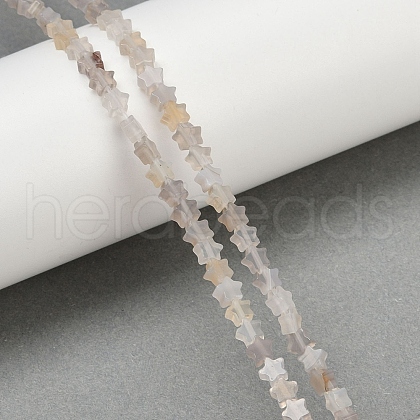 Natural Grey Agate Beads Strands G-U021-B01-01-1