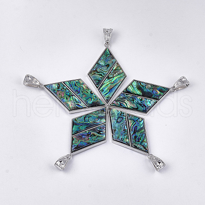 Abalone Shell/Paua Shell Pendants X-RESI-S376-01-1