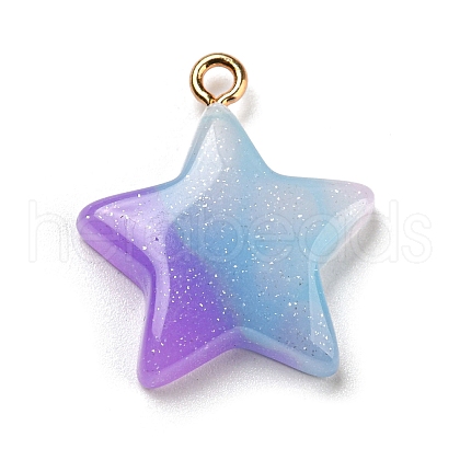 Gradient Color Resin Pendants FIND-Z010-01C-1