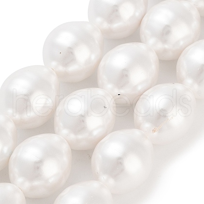 Electroplated Shell Pearl Beads Strands BSHE-H110-01-03-1