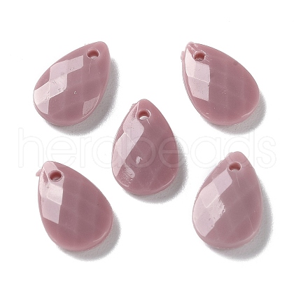Opaque Acrylic Charms MACR-F079-07D-1
