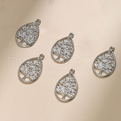 304 Stainless Steel Pendants STAS-M116-31P-1
