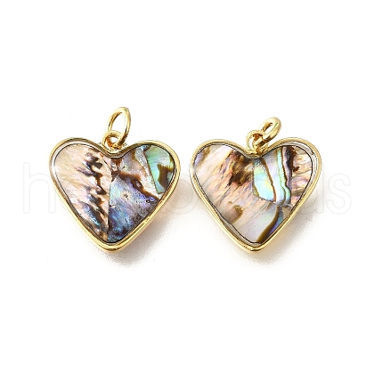 Natural Paua Shell & Epoxy Resin Charms KK-E794-02G-05-1