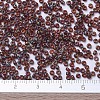 MIYUKI Round Rocailles Beads SEED-X0054-RR4503-3