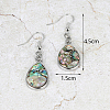 Elegant Brass Shell Teardrop Dangle Earrings DK3266-4